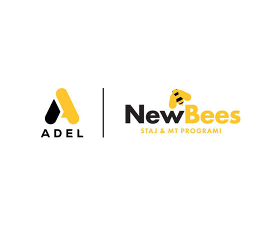 Meet Our Newbees Internship and MT Program!